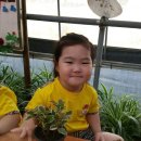 무지개농장1 이미지