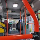 황령산유원지 생태숲 이미지