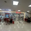 롯데마트서대전 문샵 | 🛍 대전 다이소 롯데마트 서대전점 후기 | 다이소 쇼핑 + 마트 장보기까지 한 번에!
