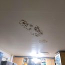 오포2동-14 이미지