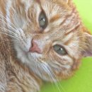 남해파라다이스콘도미니엄 이미지