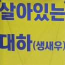 본대구막창조개구이