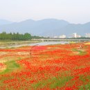 곡성-192 이미지