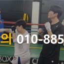 정일복싱 이미지
