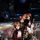 캣츠코리아 이미지