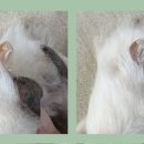 (주)청려원 이미지