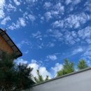 쉐보로남원바로서비스 | (전북/남원) 1박 2일 남원 여행｜광한루원 · 남원예촌 · 경방루 · 명문제과