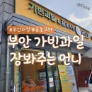 가빈과일장봐주는