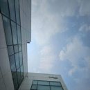 코바이오 이미지