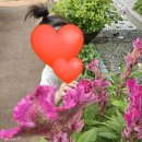 신도림1차푸르지오 | 신도림 푸르지오 1차, 102, 103, 104 동별 장단점