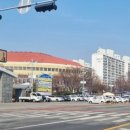 군산월명종합경기장야구장 이미지