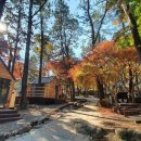 월출산 천황야영장 이미지