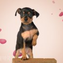 함께약국 이미지