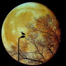 하나둘세탁소 이미지