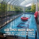 6212 | [세종DMZ디엠제트풀빌라] 가성비 끝내주는 대전근교 프리미엄 풀빌라 즐기기