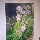 정철농장 이미지