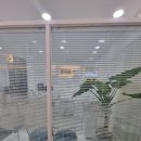 부평레푸스