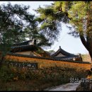 고운옷집