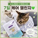 위마스터즈 | 시그니처바이 오라뮨 드롭스, 케어마스터즈 챌린지 후기🤍