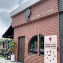 모리셔스 브라운 이미지