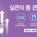 벨라코리아 이미지