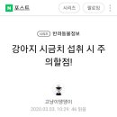 강아지 시금치 섭취 이미지