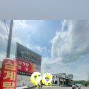 닭올닭 이미지
