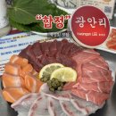 신선횟집 2호점 - 337874 | [합정맛집] 분위기 좋은 합정에서 횟집 찾는다면? "합정광안리 숙성횟집 2호점" 내돈내산 후기