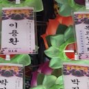 제675회 목요산우회 산행. 약사암 대웅전에 봉축 축원 이미지