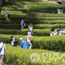 문화체육관광부 이미지