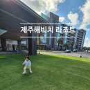49 | 제주 해비치리조트 49평 숙소 후기