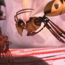 개미똥구멍 이미지