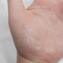 토토와화장품 이미지