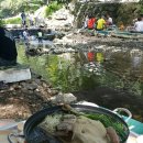 왕벌촌