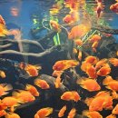 아쿠아빌딩 이미지