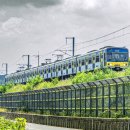 오송5교 이미지