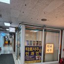 인과연 | 잠실 타로 사주 잘보는 곳 타로사주인과연 소름돋는 후기