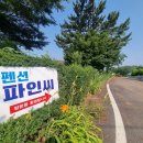 펜션파인씨