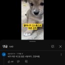 기억