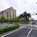 나성동_국세청앞 BRT 이미지