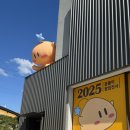 파스쿠찌정부대전
