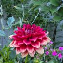 무무산방 이미지