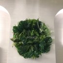 비오페이스의원 이미지