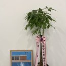 오픈투유 이미지