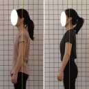 모아필라테스 - 구리시 건원대로34번길 25 | 압구정필라테스 | 5월 총결산 이달의 수업 후기 체험 이벤트 모아보기 늘필라테스
