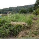 자산동205 이미지