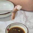 박경원낙지천국