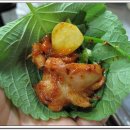중앙로2 Daum카페