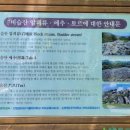 비슬산휴양림관리사무소 | 100대 명산 대구 달성군 비슬산 대견봉 대견사 등산 코스와 주차장, 투어버스 정보