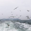 유람선매점